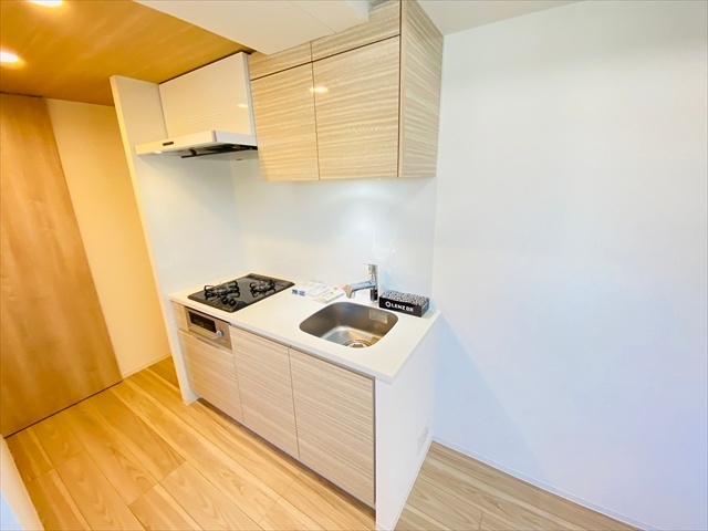 キッチン　同一建物内１００１号室内装写真転載