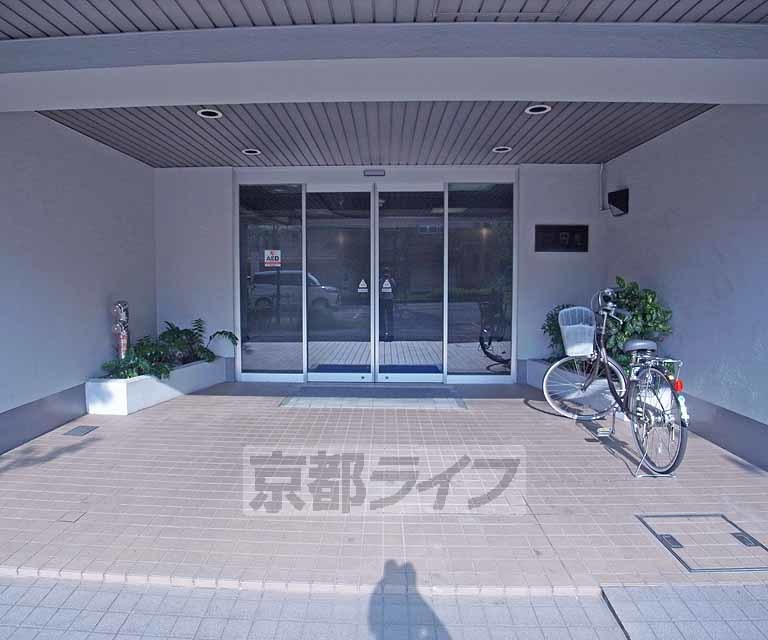 庭