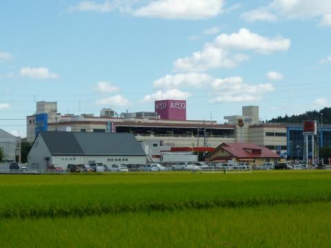 【Ｐｒｏｍｅｎａｄｅ　Ａｏｋｉ　Ｂのその他】