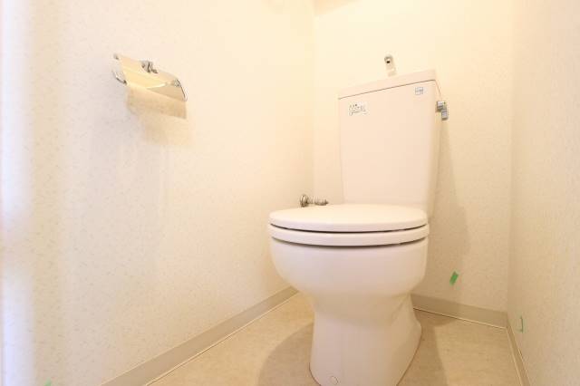 トイレ　清潔感のある色合いです