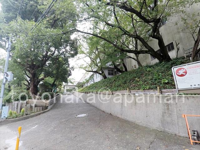 小学校　上野小学校（小学校）まで495m