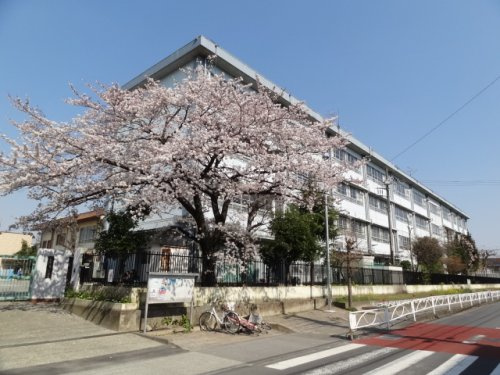 小学校　川崎市立宿河原小学校（小学校）まで592m