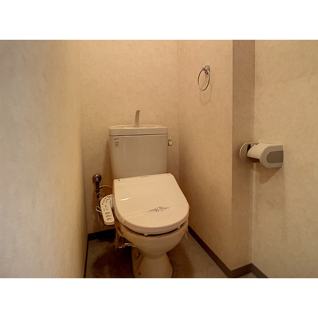アンベリリールのトイレ写真