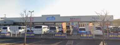 ドラックストア　ウエルシア薬局つくばみどりの店（ドラッグストア）まで608m