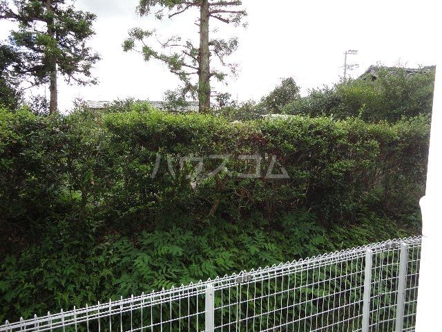 ミニヨンフィオ-レのその他写真
