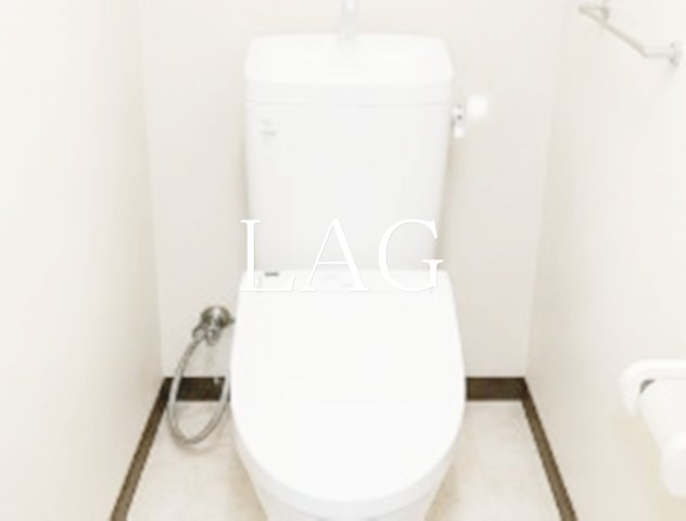 ナイスアーバン入谷のトイレ写真
