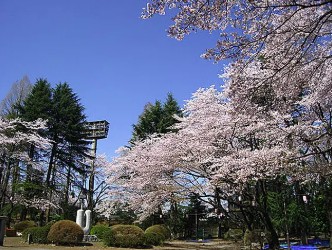 公園　富士森公園（公園）まで741m