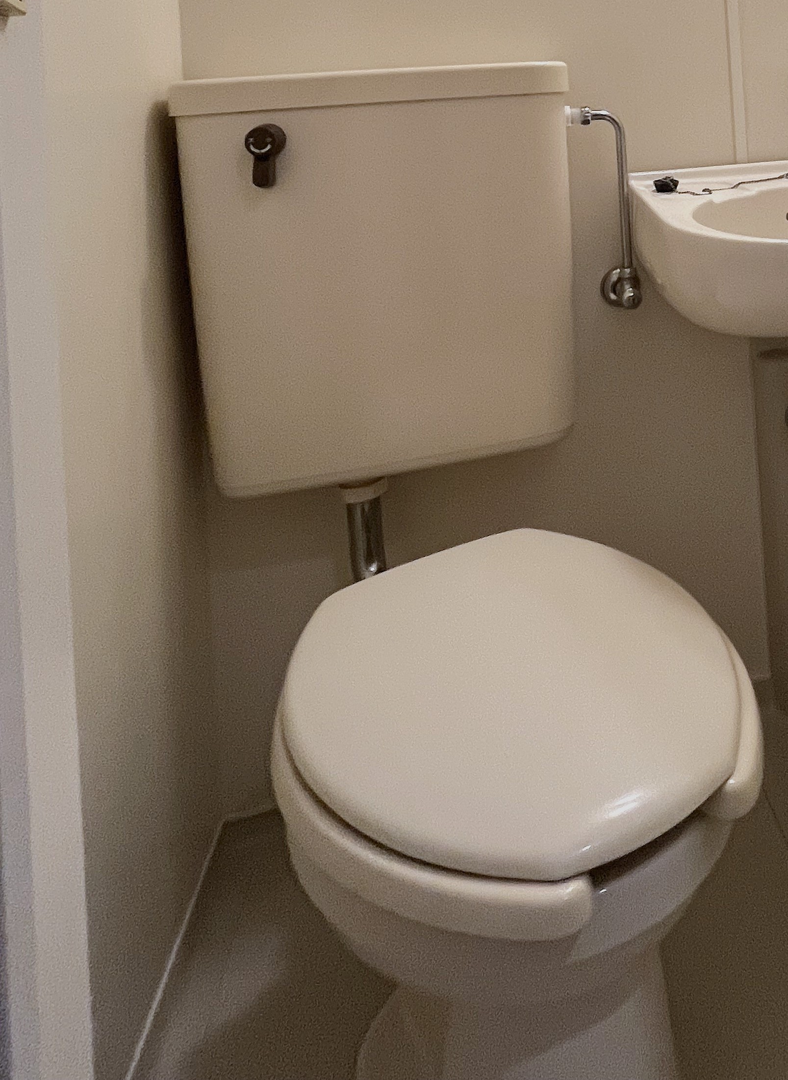 ラフィーヌ千駄木のトイレ写真