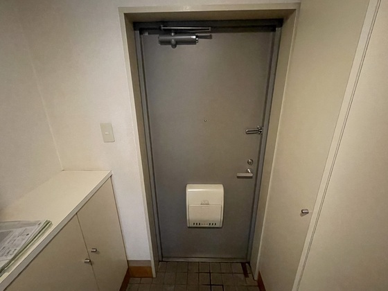 玄関　※他の号室の写真写真です。