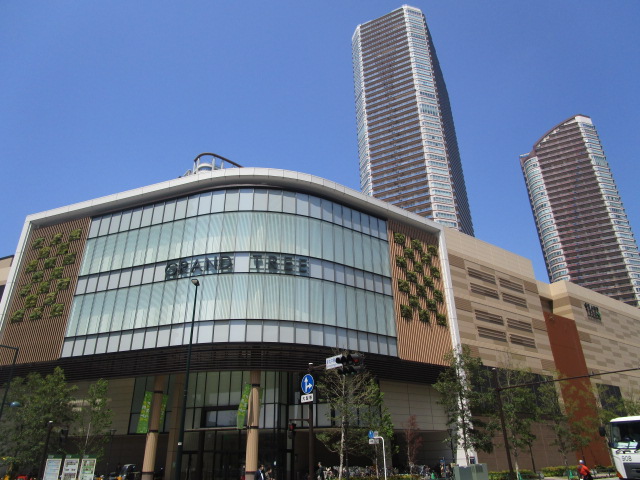 スーパー　イトーヨーカドーグランツリー武蔵小杉店（スーパー）まで803m