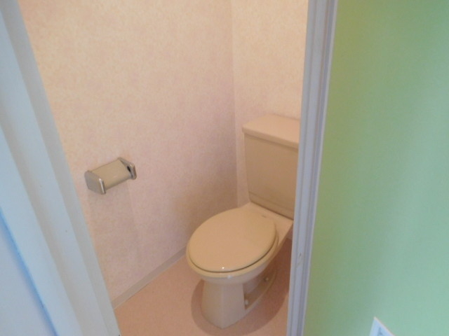 トイレ　美しいおトイレですね