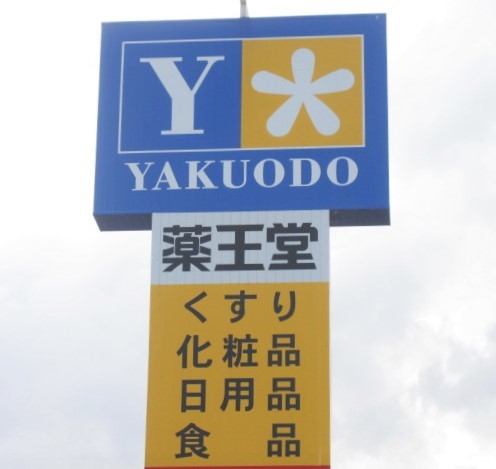 ドラックストア　薬王堂盛岡みたけ店（ドラッグストア）まで375m