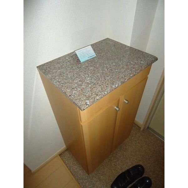 玄関　＊反転タイプ