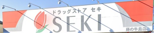 ドラックストア　ドラッグストアセキ藤の牛島店（ドラッグストア）まで1050m