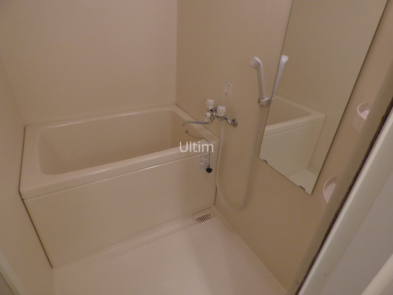 バス・シャワールーム　※同タイプの他のお部屋です