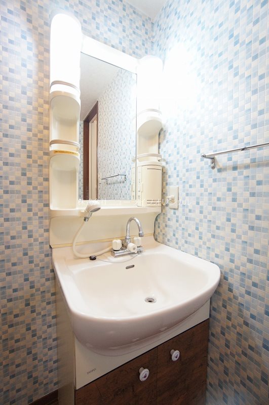 洗面設備　シャワー付きの独立洗面台です♪