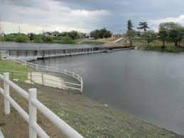 公園　七本木池公園（公園）まで853m