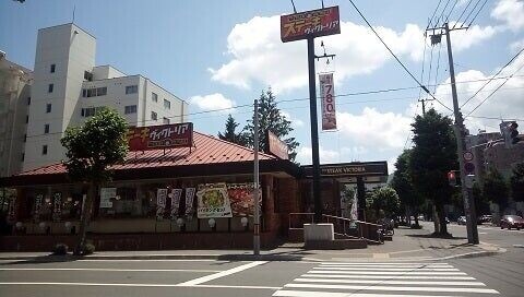 飲食店　ヴィクトリアステーション南円山店（飲食店）まで176m