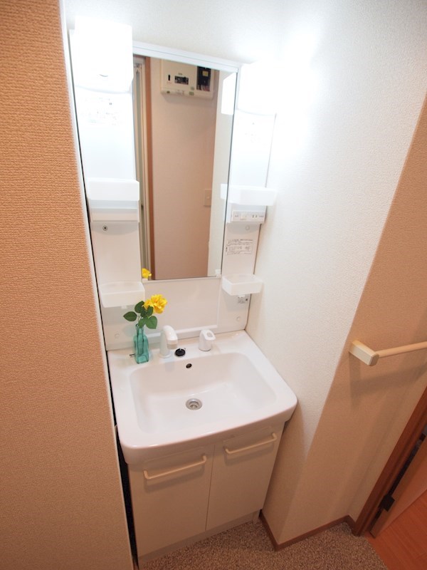 洗面設備　独立洗面台もございます。洗濯機も室内置きOK。