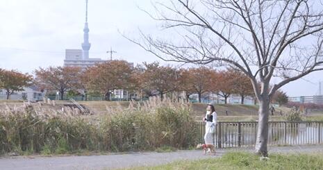 眺望　徒歩４分の旧中川河川敷はお散歩コースに人気です♪