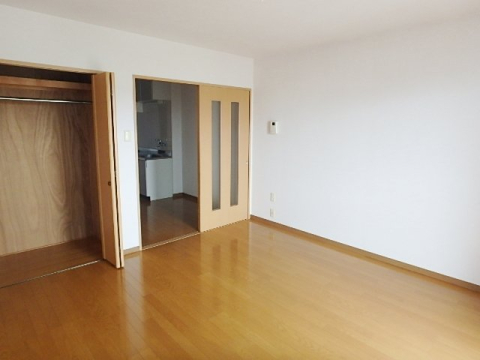 居室・リビング　※写真は他号室の物です。