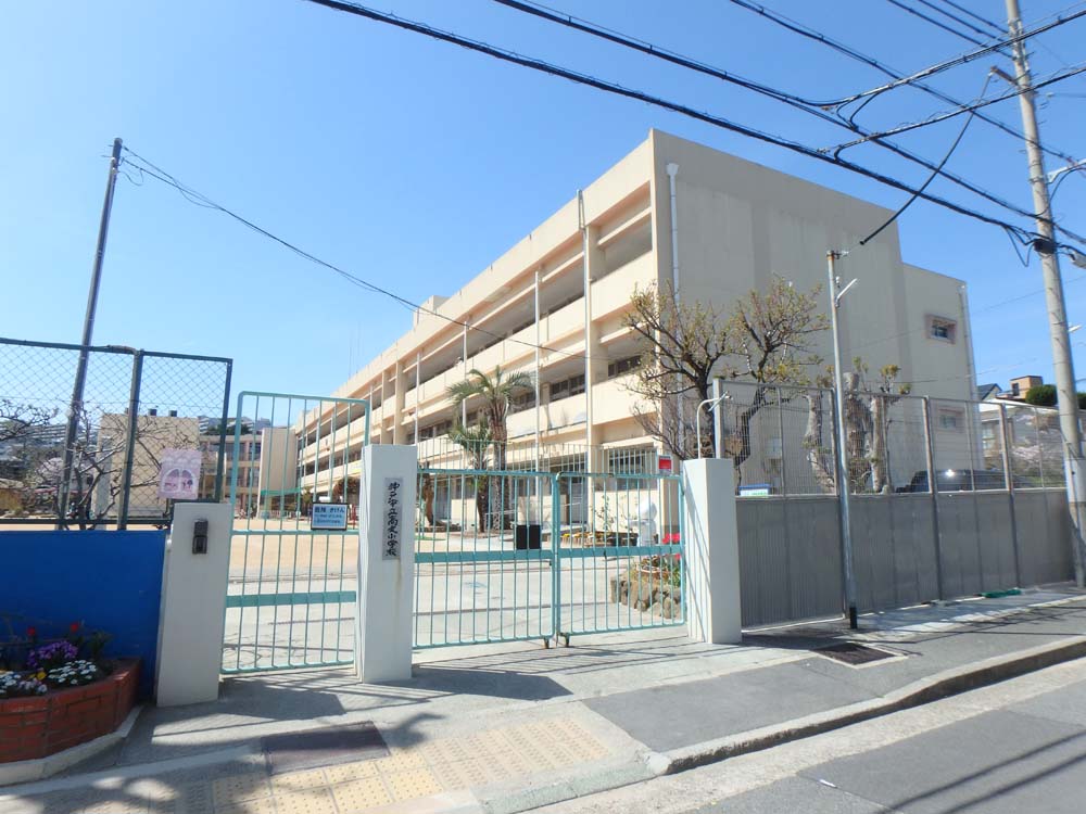 小学校　高丸小学校（小学校）まで586m