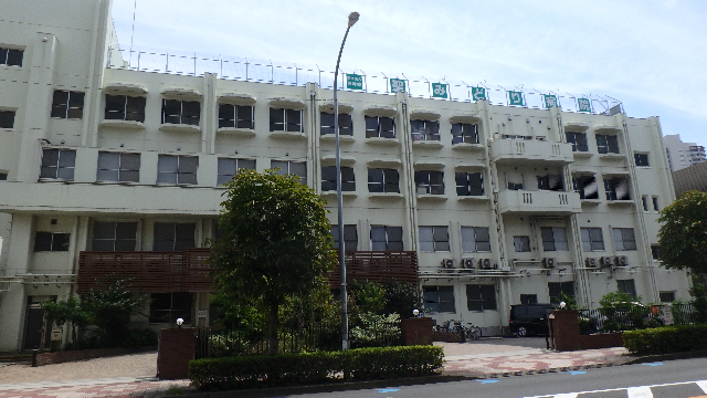 病院　医療法人徳洋会聖みどり病院（病院）まで520m