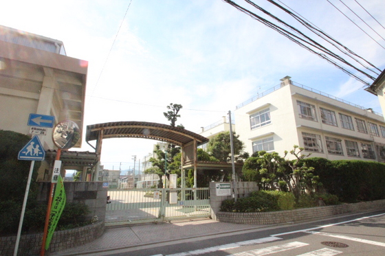 小学校　広島市立舟入小学校（小学校）まで409m