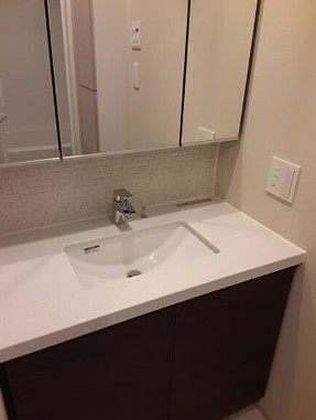 洗面設備　ザ・パークハビオ五反田（別部屋参考画像）