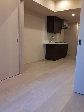 居室・リビング　ザ・パークハビオ五反田（別部屋参考画像）