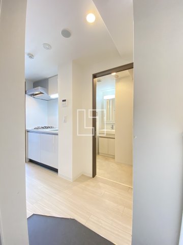 玄関　エグゼ難波南IV　玄関