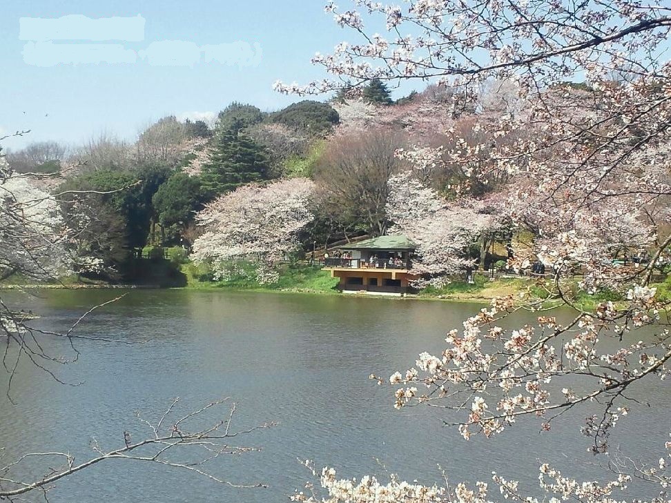公園　三ッ池公園(南門)（公園）まで308m