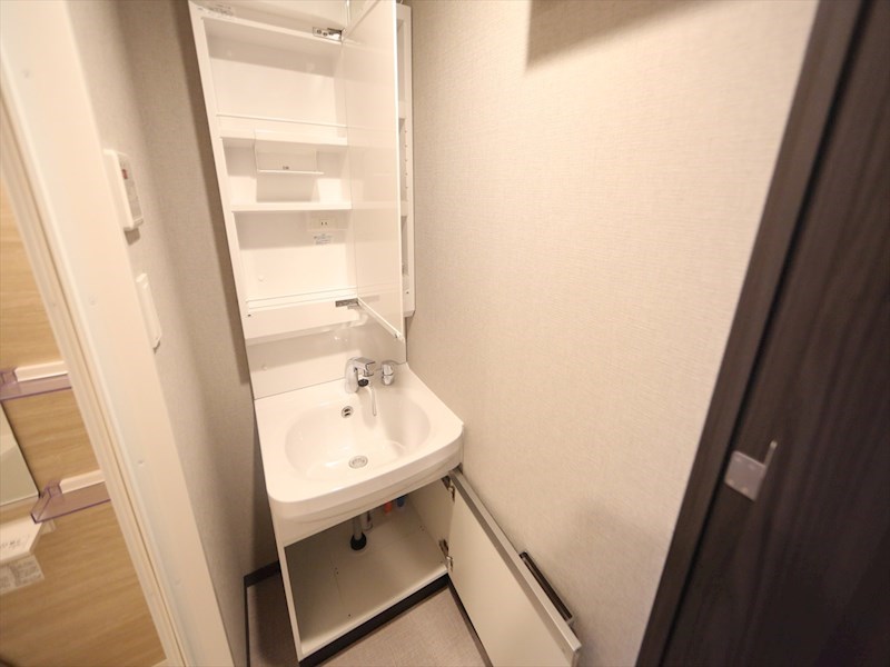 洗面設備　脱衣所　独立洗面台（シャンプードレッサー付）収納スペース有