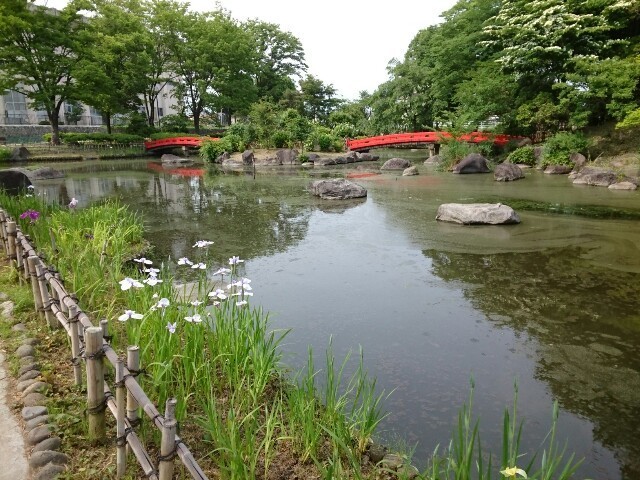 公園　浜川運動公園（公園）まで1100m