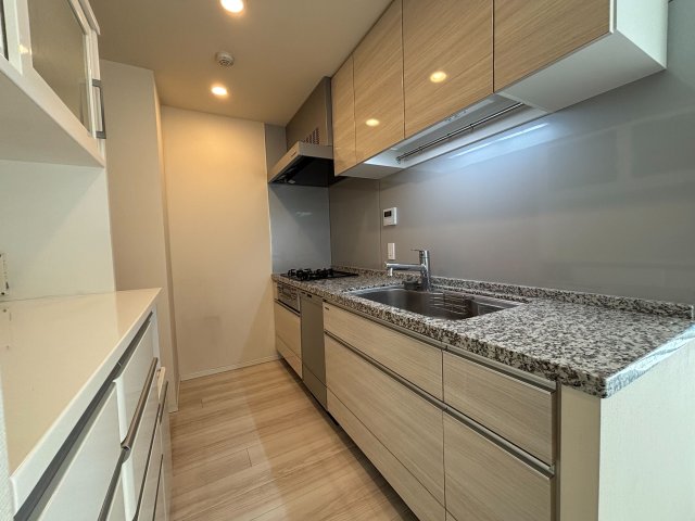 キッチン　大理石調・ディスポーザ付のキッチンです。