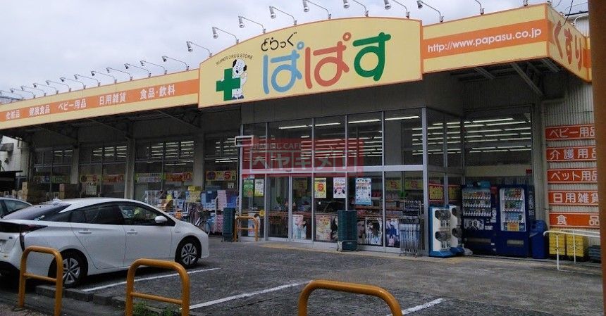 ドラックストア　どらっぐぱぱす下丸子店（ドラッグストア）まで450m