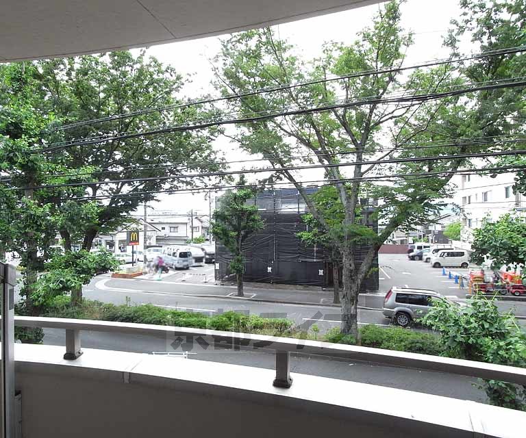 眺望　白川通りの街路樹が目に優しいです。