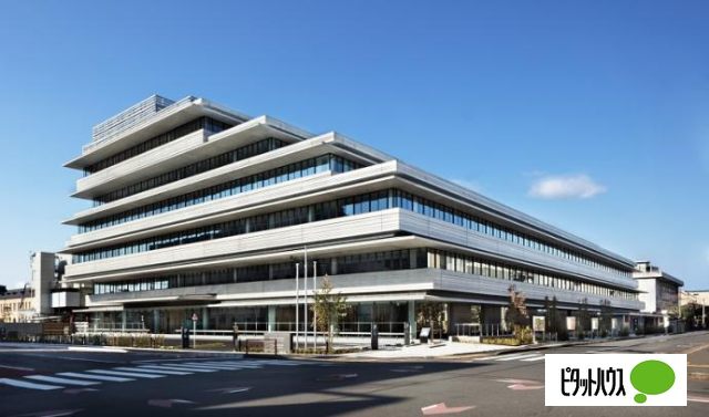 郵便局　京都聚楽郵便局（郵便局）まで334m