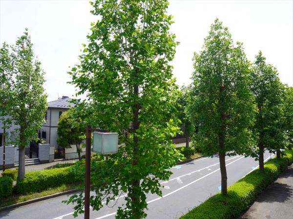 眺望　眺望