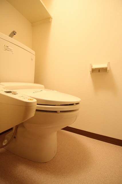 トイレ　同物件、別号室のものです。