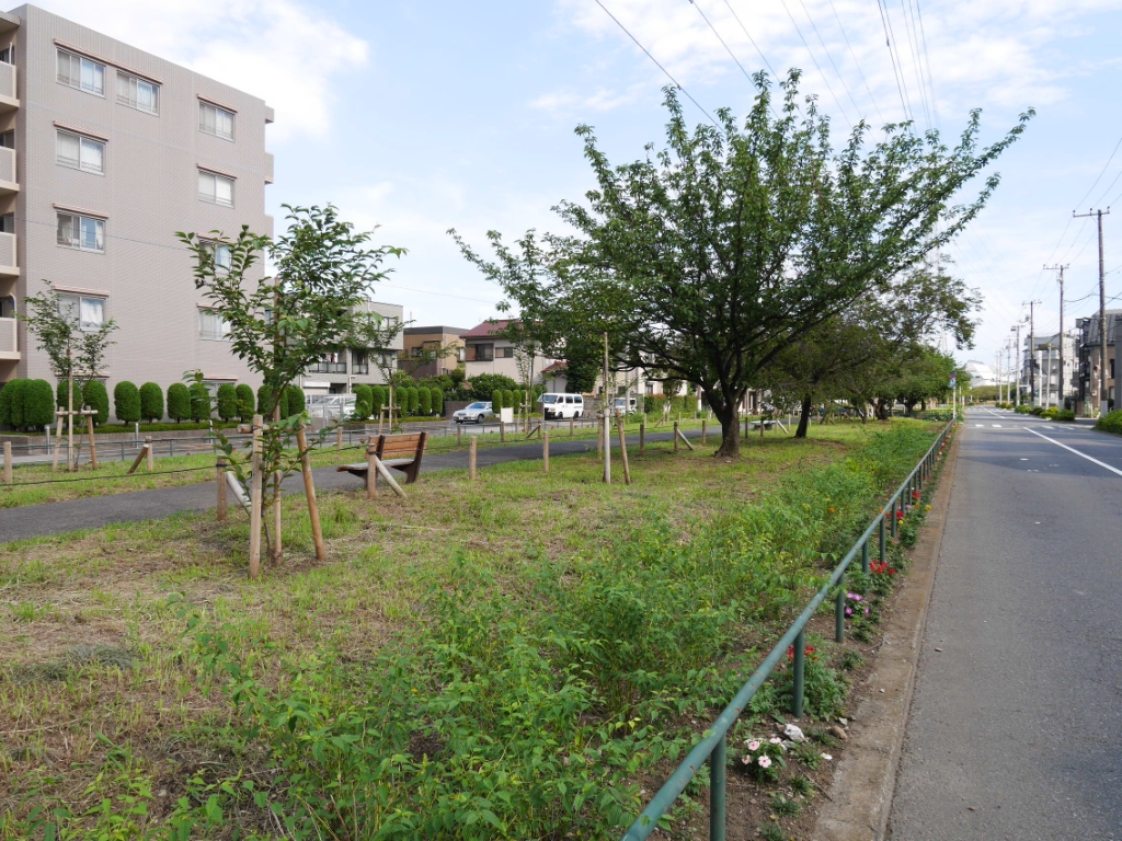 公園　江北緑道（公園）まで620m