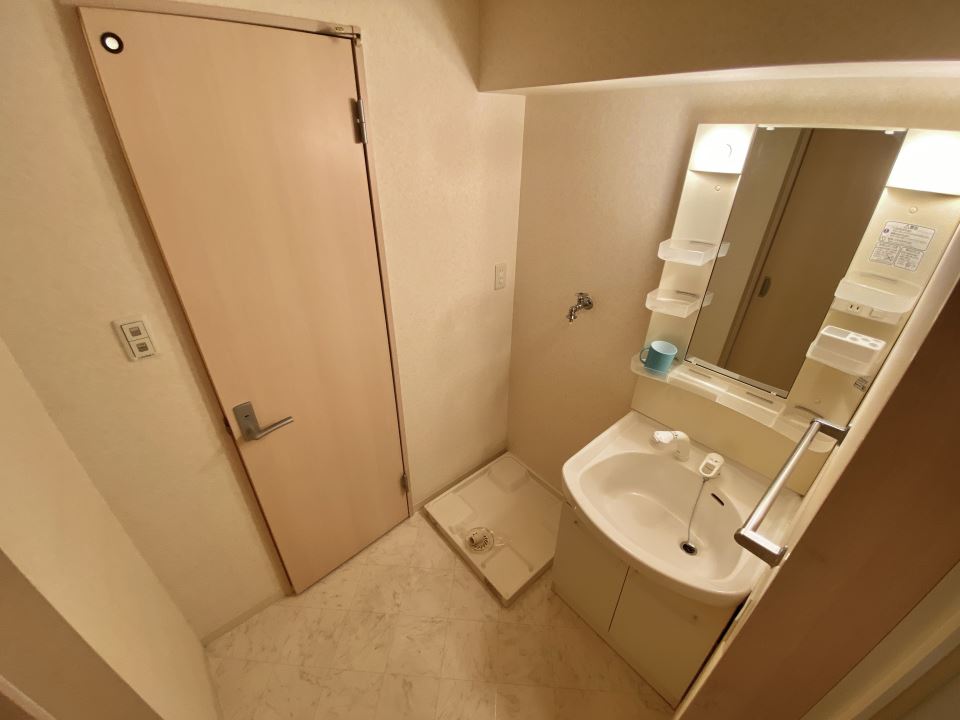 洗面設備　シャンプードレッサーと室内洗濯機置場です