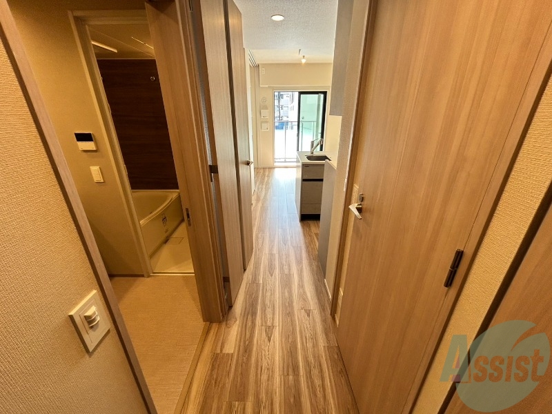 玄関　玄関からの様子です。照明の電気は自動で付くタイプです。