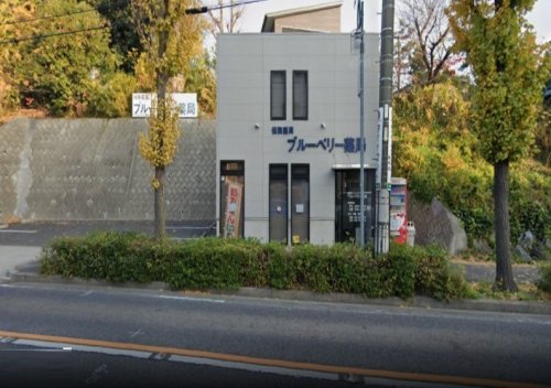 ドラックストア　ブルーベリー薬局（ドラッグストア）まで322m