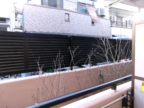 眺望　バルコニーからの眺望　※2024年1月撮影