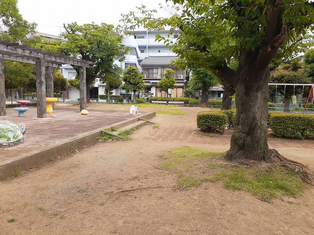 公園　芝後谷公園（公園）まで320m