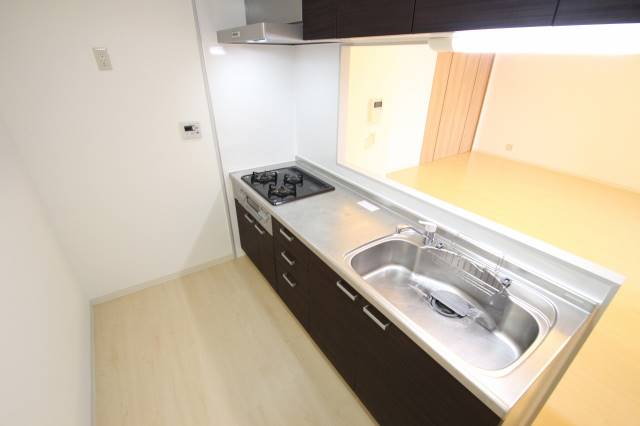 キッチン　立派なシステムキッチン。他号室の写真です。