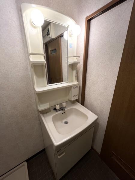 洗面設備　便利なシャンプードレッサー付き