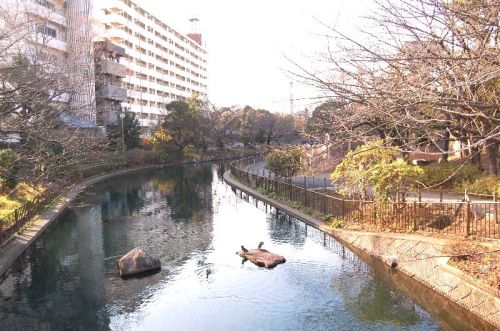 公園　仙台堀川公園（公園）まで439m