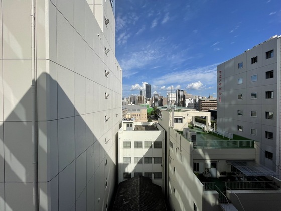 眺望　※他号室の参考写真です。